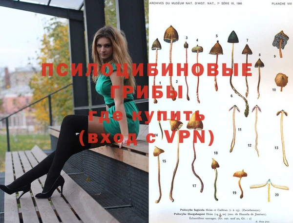 каннабис Абдулино